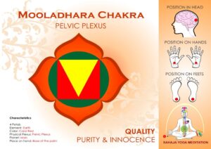 Position of Mooladhara Chakra